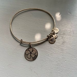 Alex and Ani Charm Bracelet
